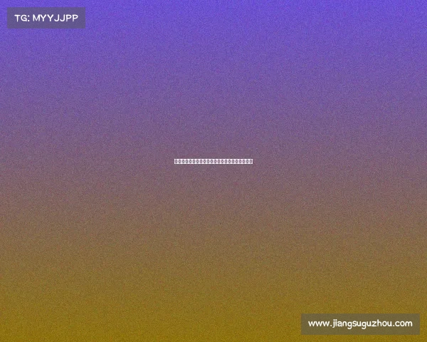 过去一个赛季出战次数最多的劳模阵容盘点与分析