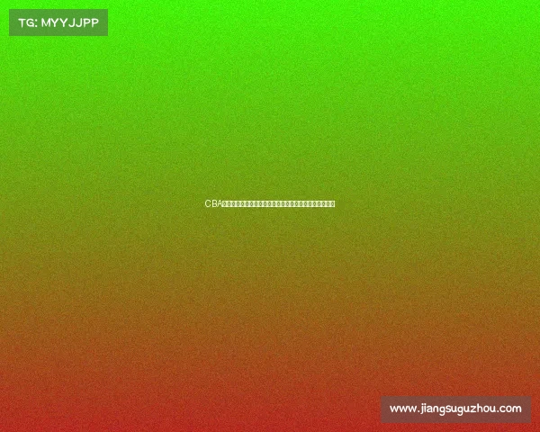 CBA球迷文化探析：从热情支持到独特社区氛围的形成与发展