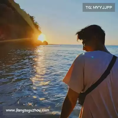 农杉菁